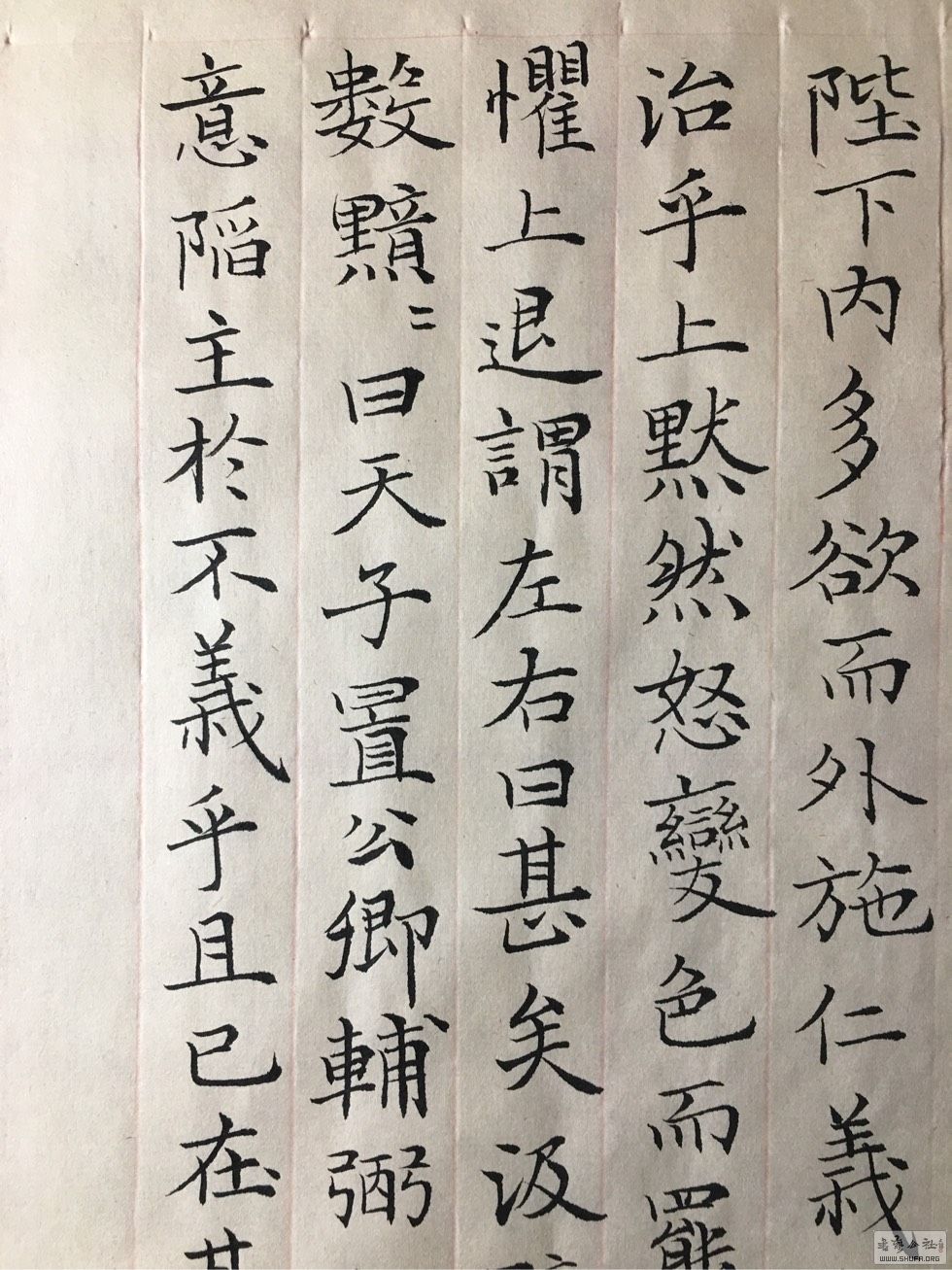 172222ctzrdd8hskj9vldt.jpg