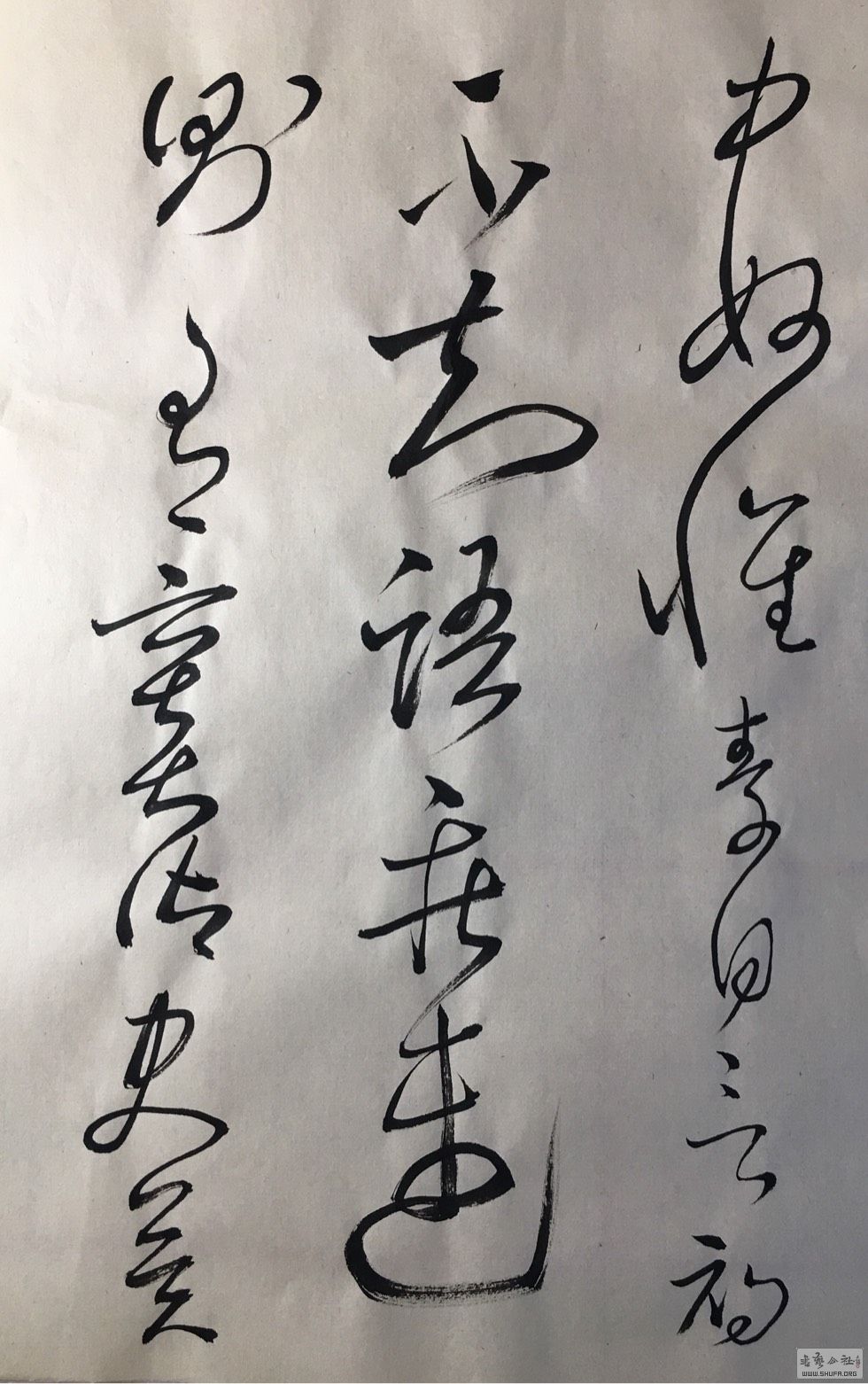 135548scgxzgauxgvfcrxr.jpg