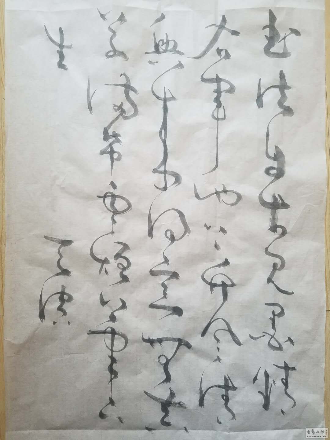 54852735507317890.jpg
