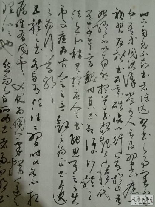 005231loonommptf25avaf.jpg