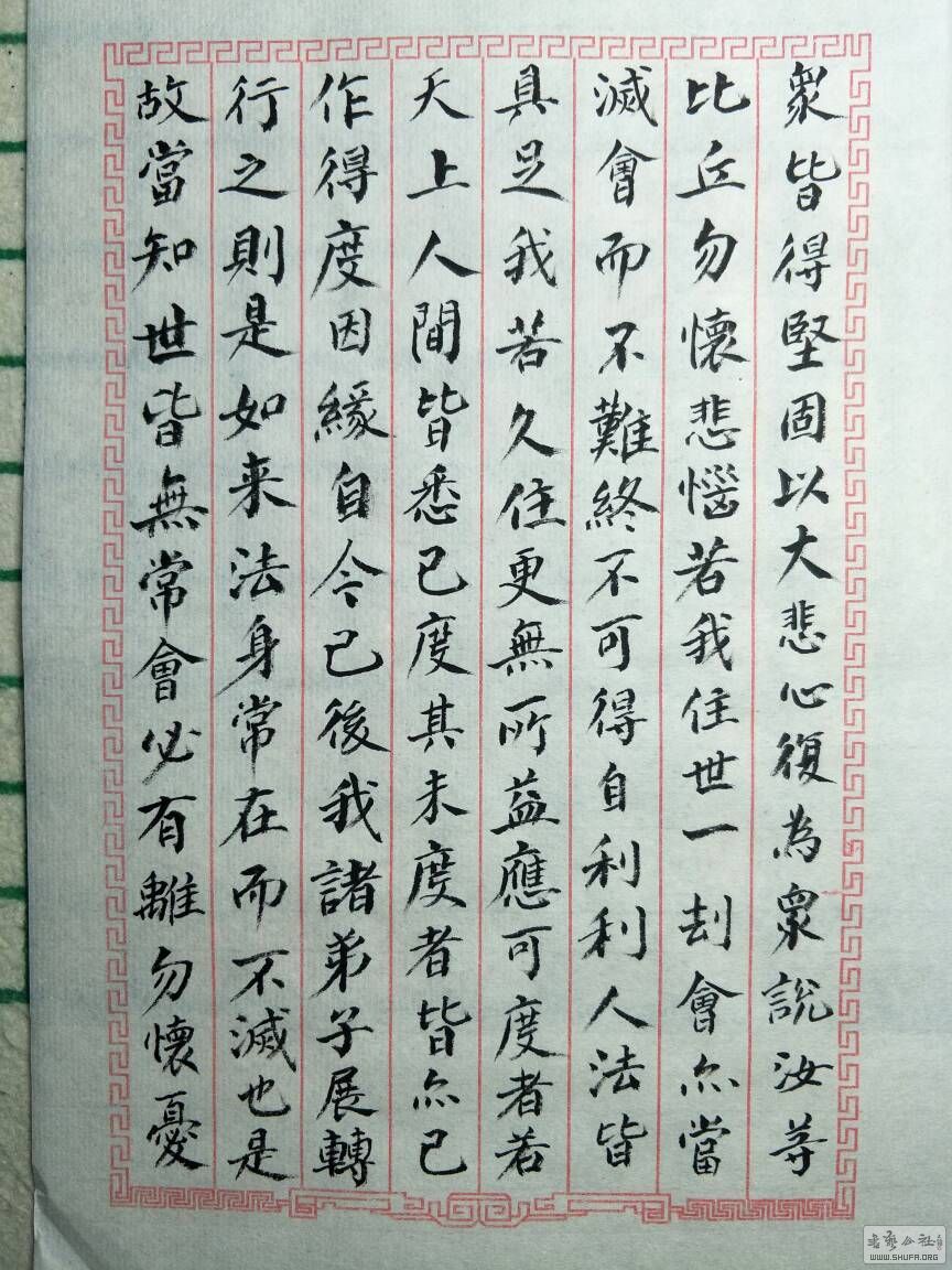 210603lw99n90cq9jjn5jm.jpg