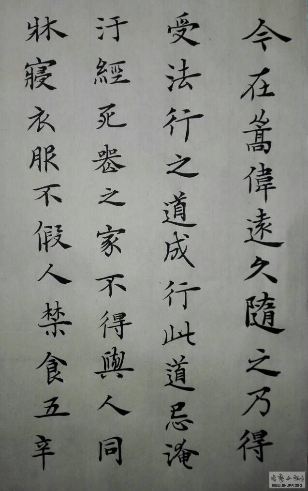 190849pek0osk9ca2v9jjv.jpg