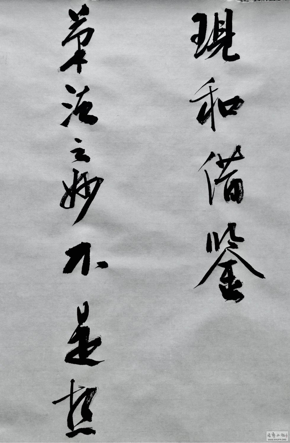 073322k7omz2sgs7ogamn8.jpg