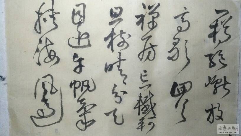 201948ed9c09teuzuetc0d.jpg