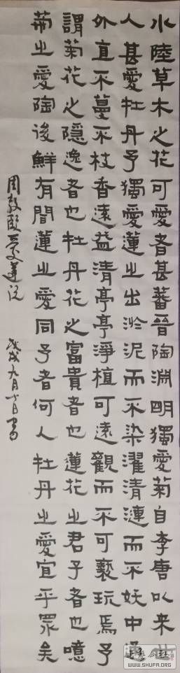 210900dl59l917ylsqbgvq.jpg