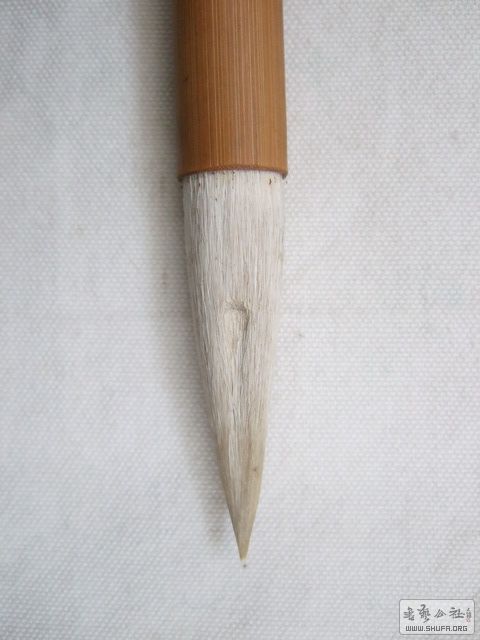 008.JPG