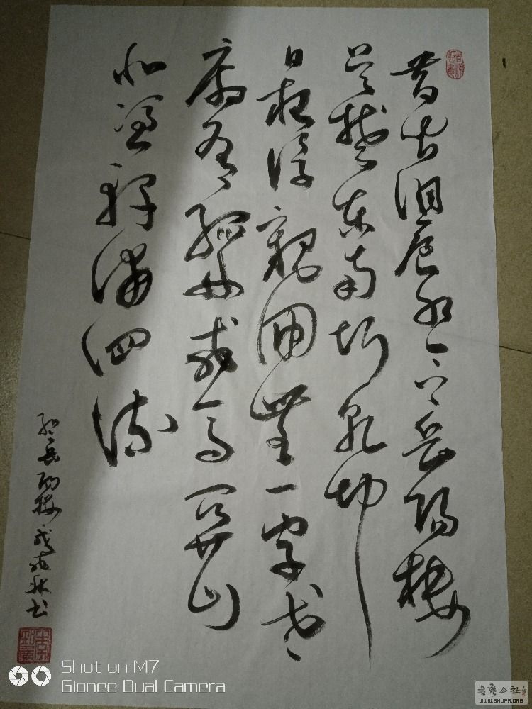 IMG_20181106_223708.jpg