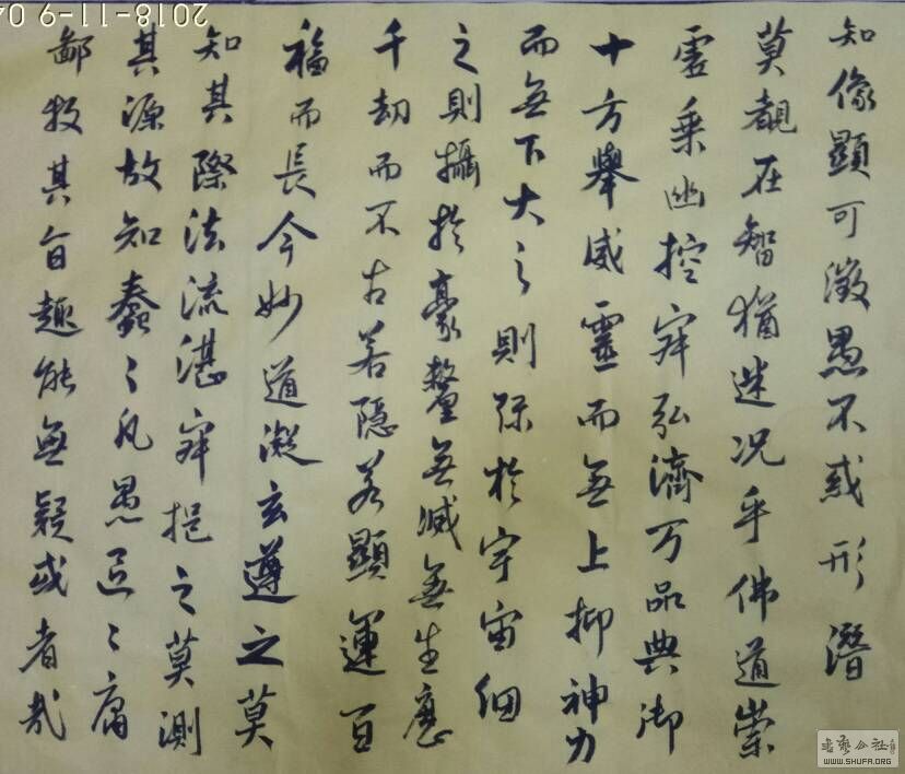 052836ffagfankg24hhlns.jpg