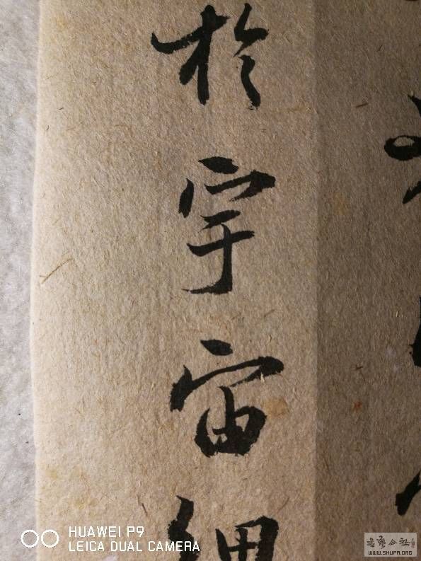 203807xelu8aduur8e85rf.jpg