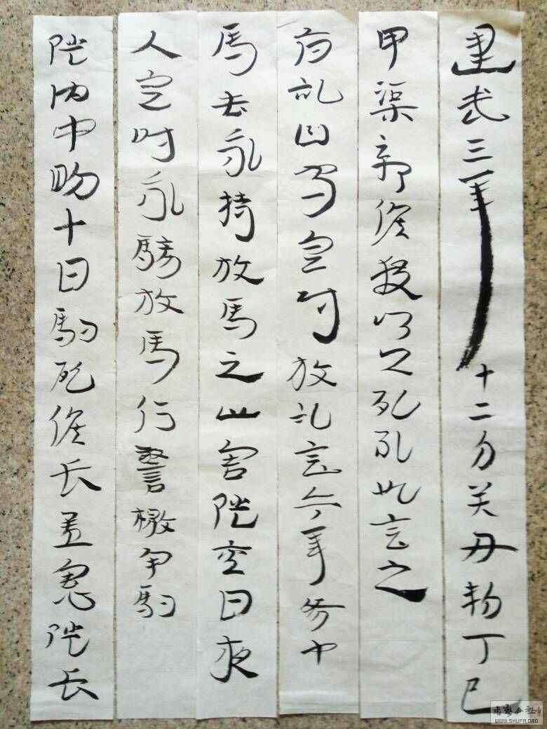 084632bm1zvvccfz431ucl.jpg