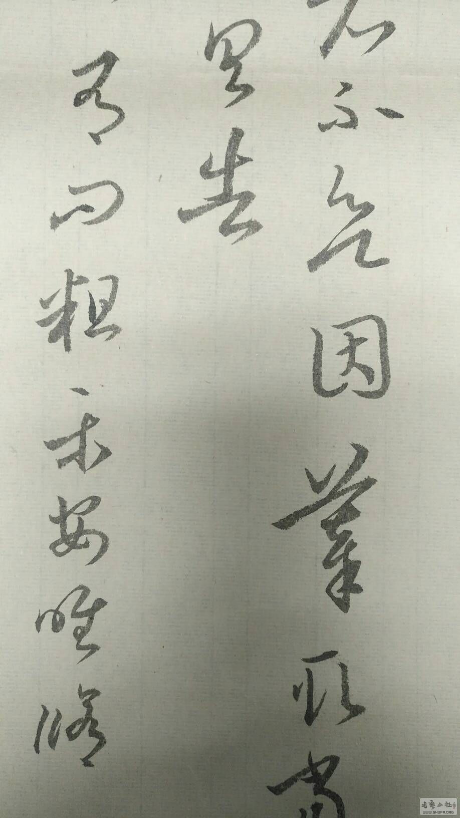 162657ufi01lnfgnosofnq.jpg