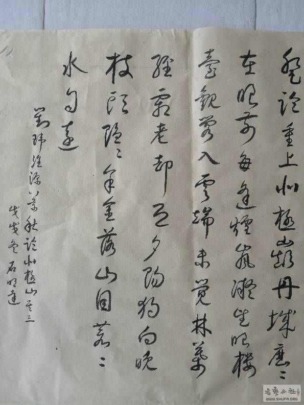 205650tpuqit6qiqc6qp7i.jpg