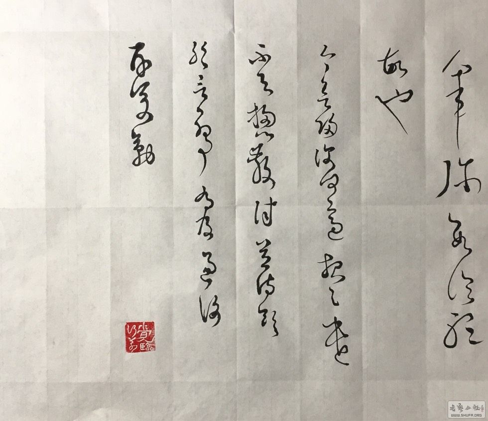 230941gvhao6cf12ck2k1o.jpg