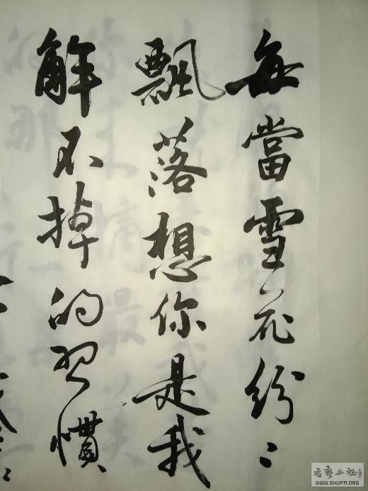 000424n9pmrno99eonmmui.jpg