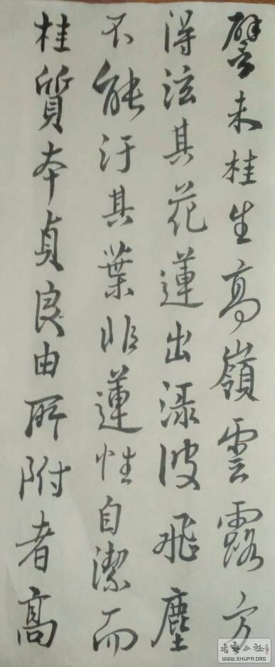 181305oeecccefqaw1f9uc.jpg