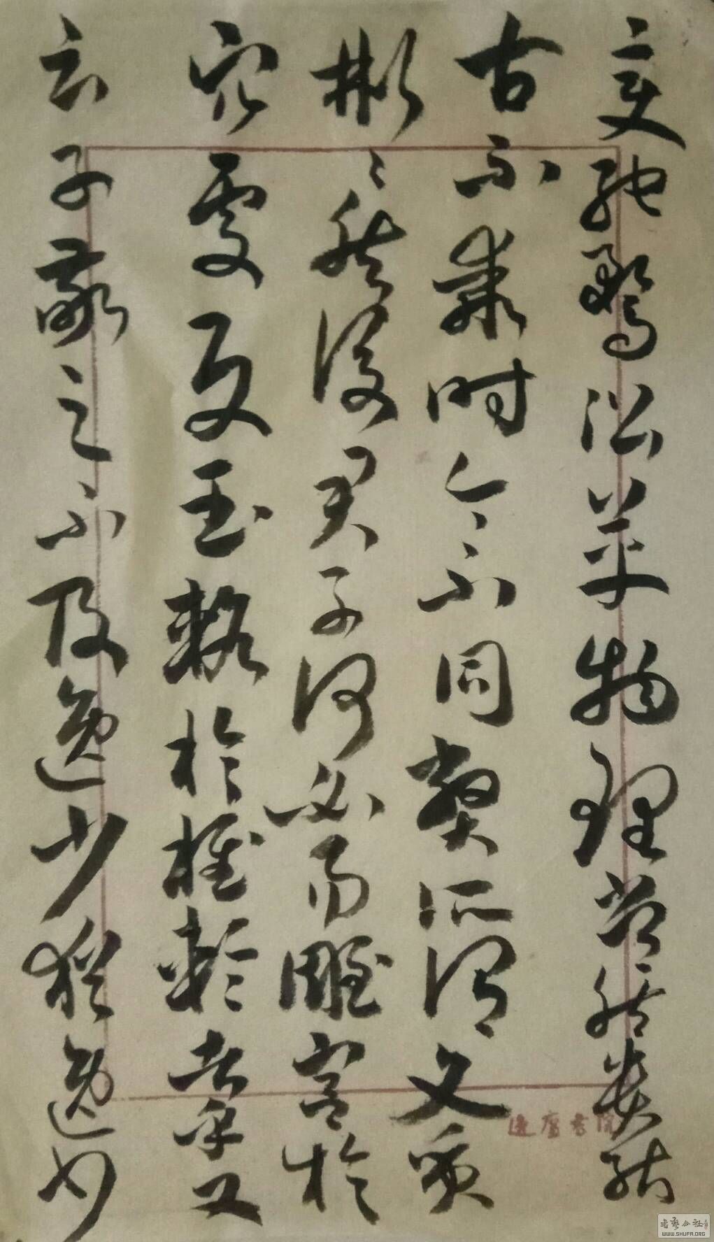 051859x6so2du06otk7opf.jpg