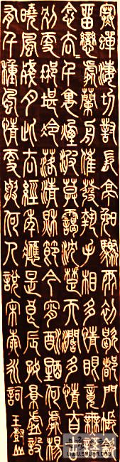 ɽ鷨  
