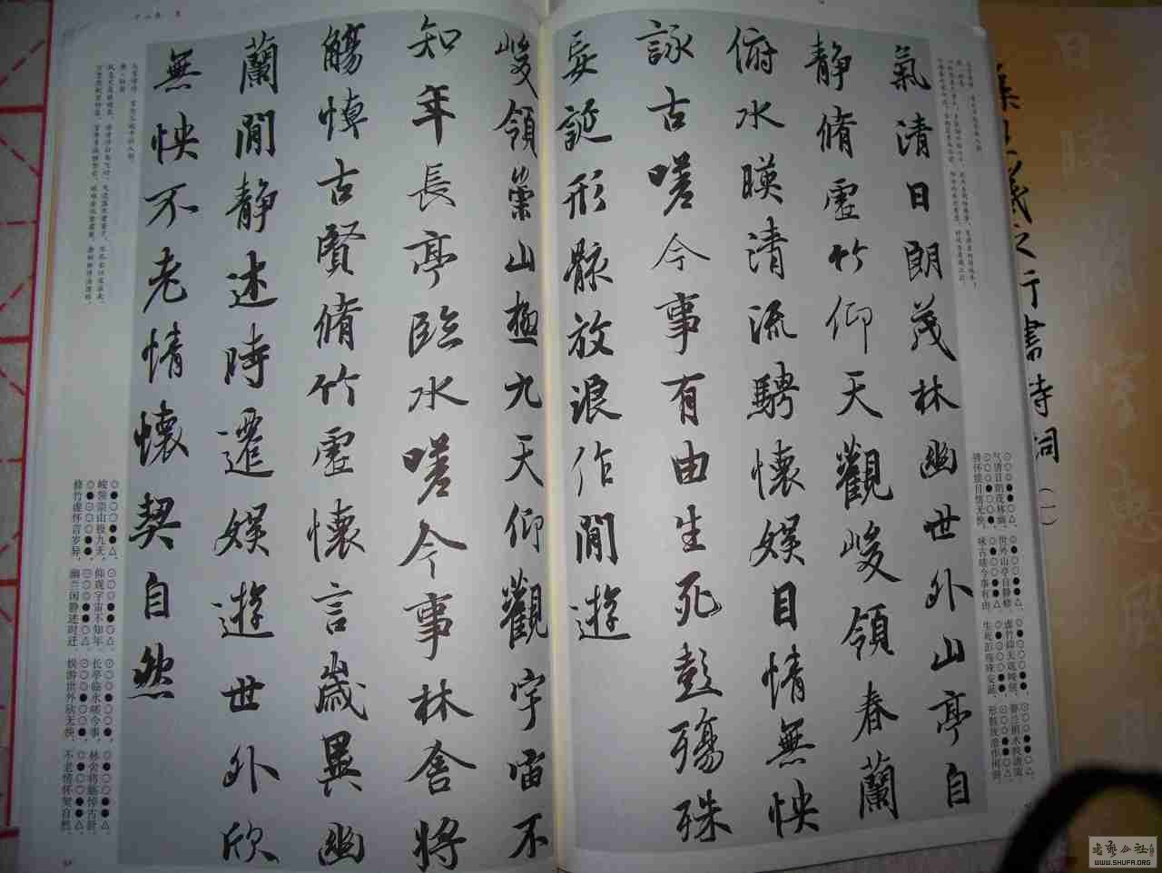 sc09.jpg