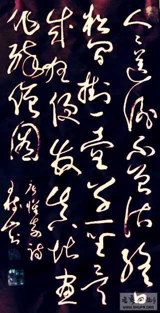 ɽ鷨ʫīԵò飨ͣ/