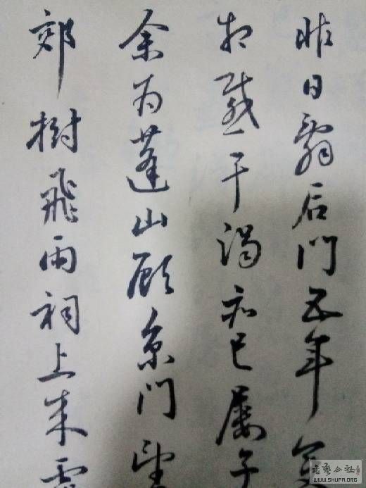152936sqmk97qdqorqo74l.jpg