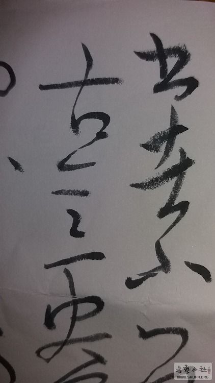 20190814_150420.jpg