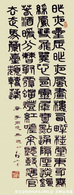 ɽ鷨 ʫ