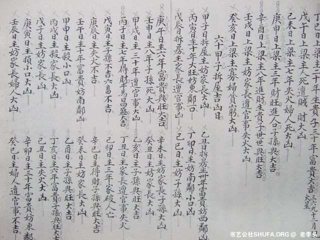 050.JPG