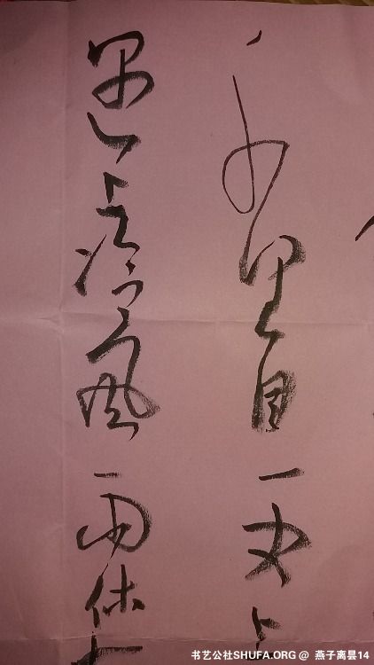 20190928_103127.jpg