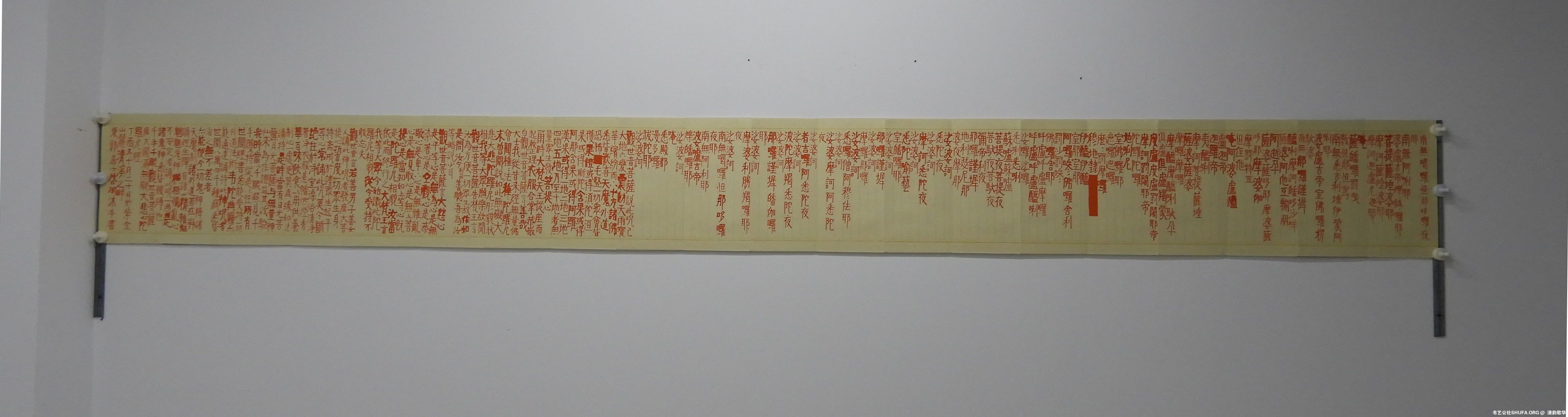 DSCN6561.jpg