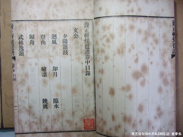 010.JPG