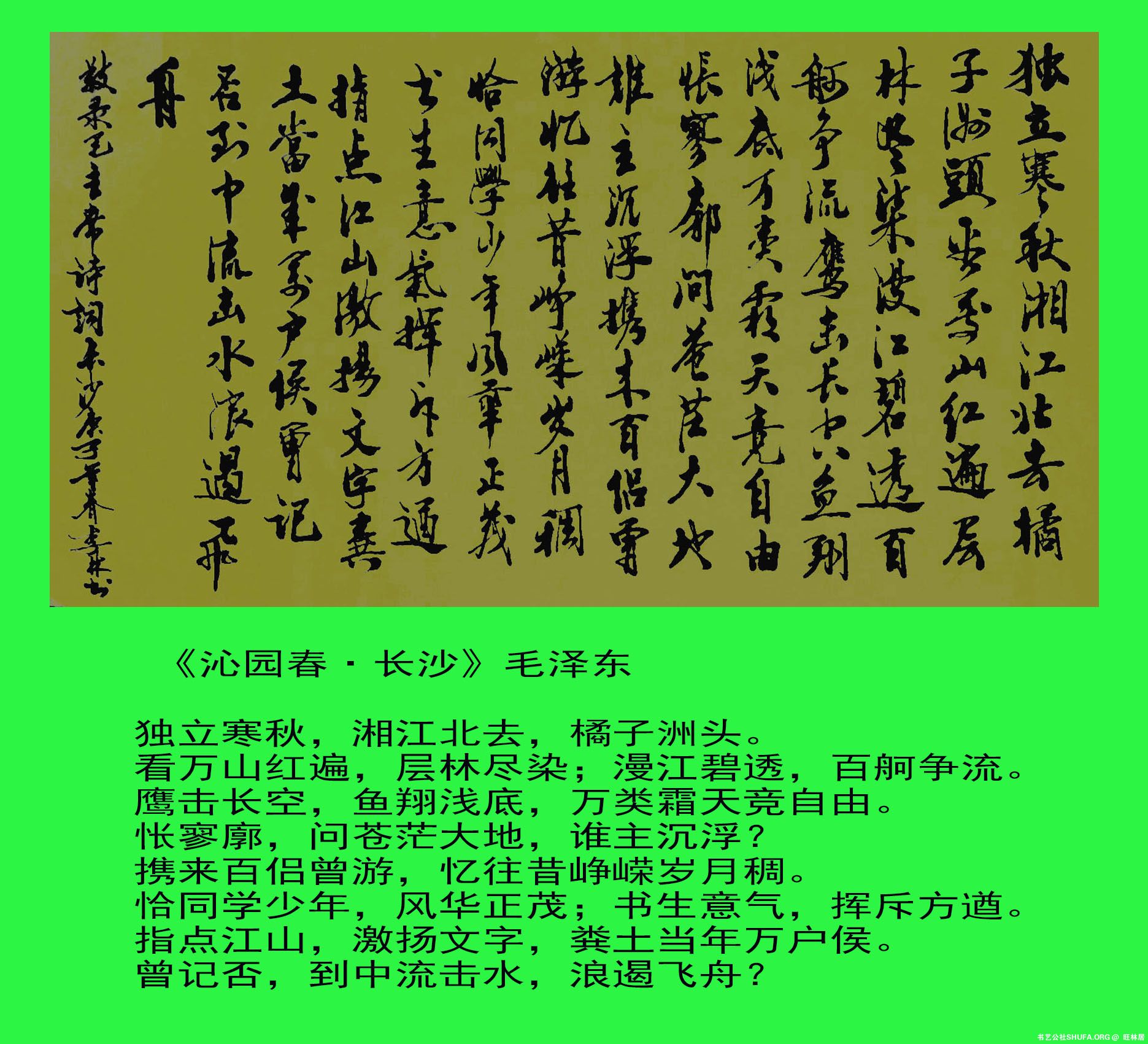 100.jpg