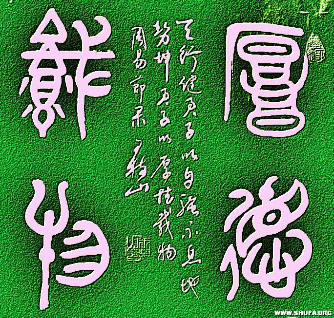 ɽ鷨  