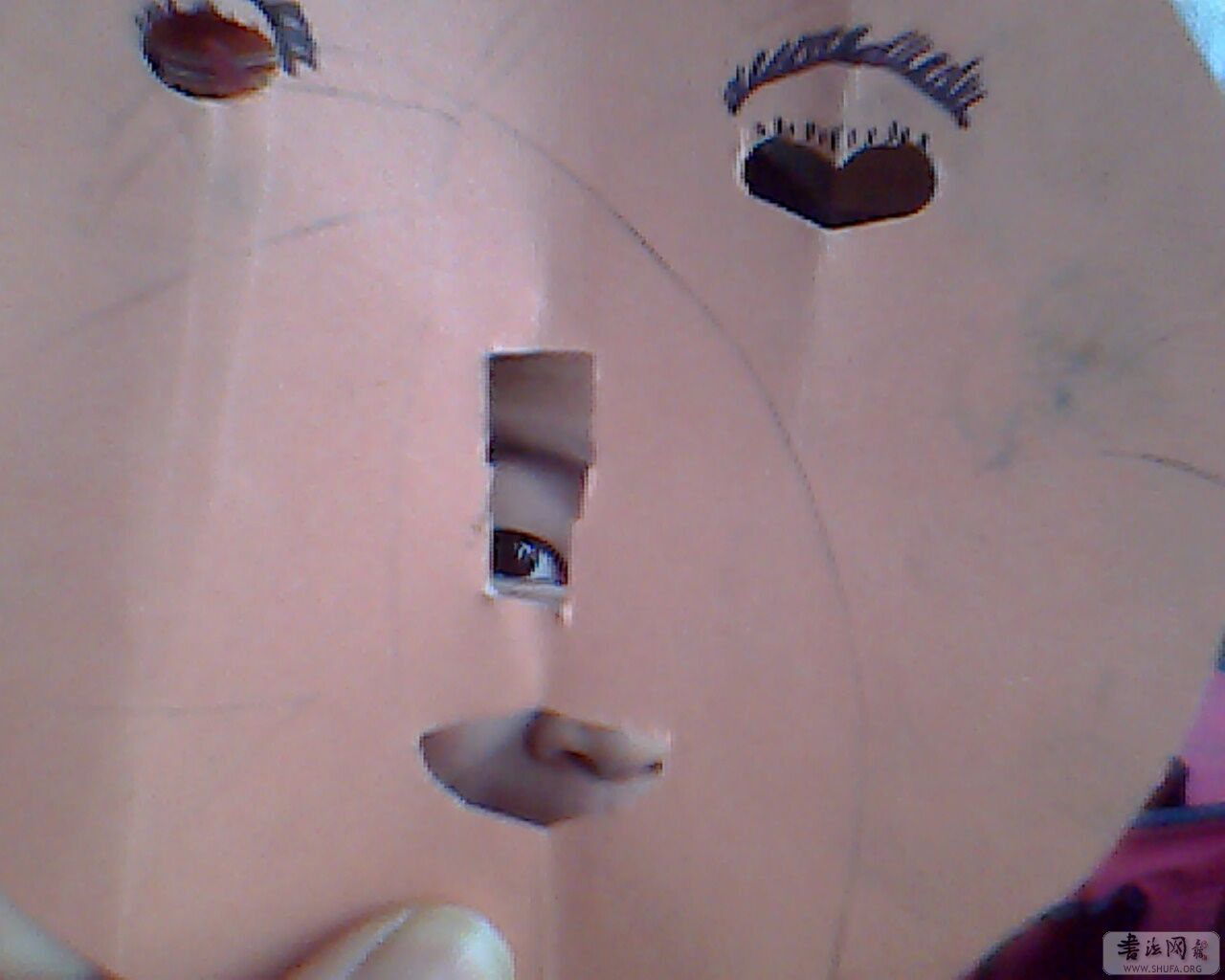 IMG0151A.jpg