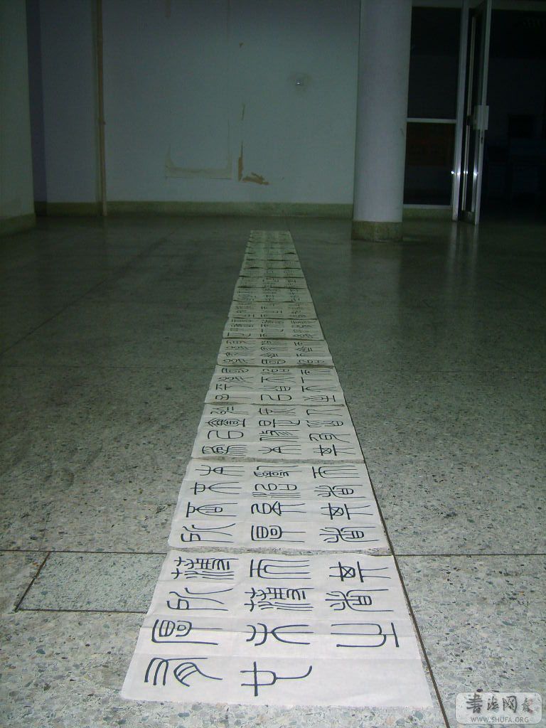 S5001381.jpg