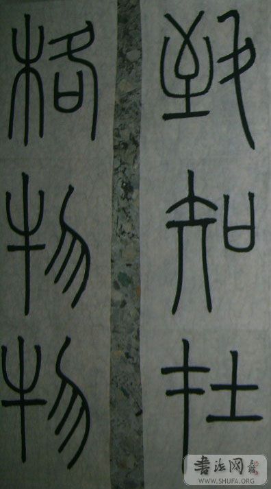 S5001384.jpg