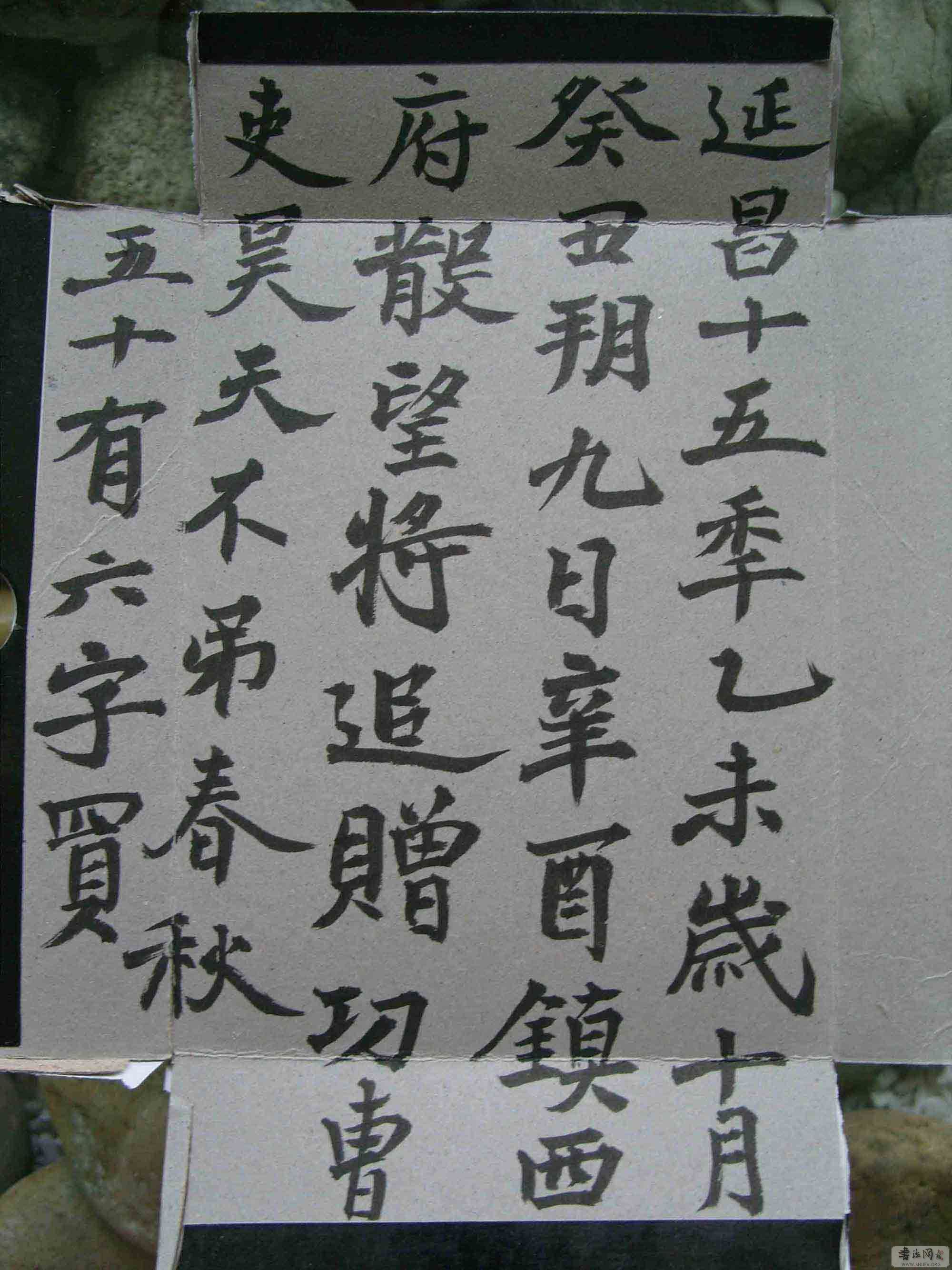 SNV10245.jpg