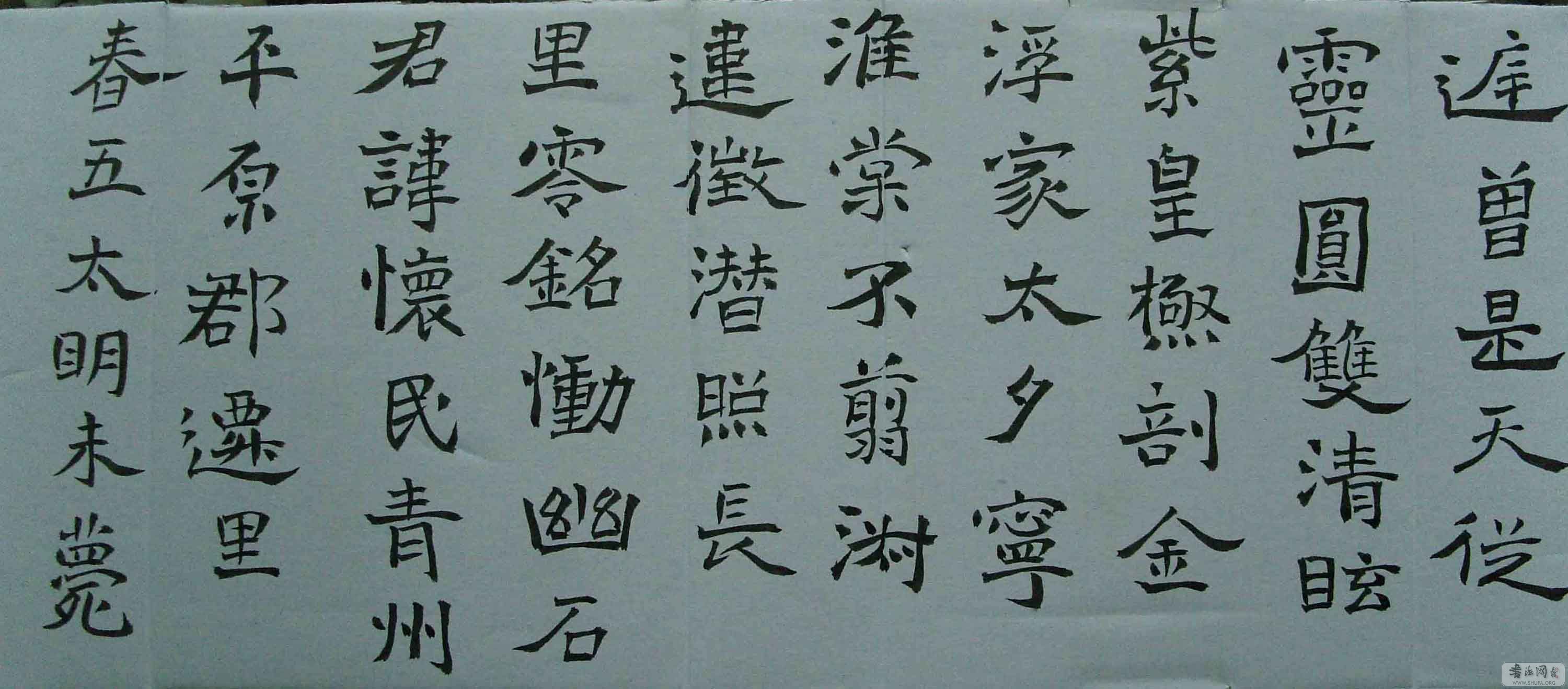 SNV10252.jpg