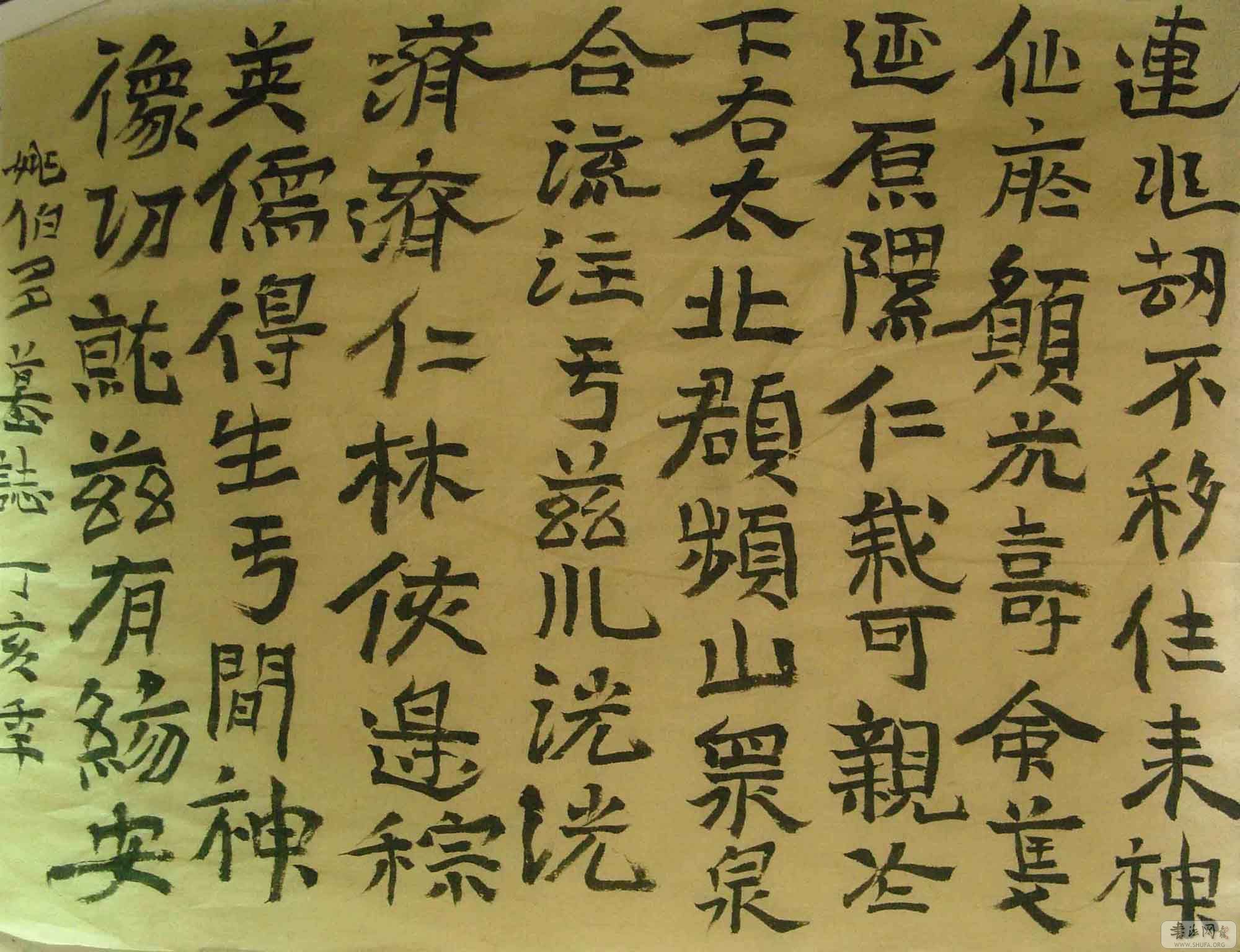 SNV10263.jpg