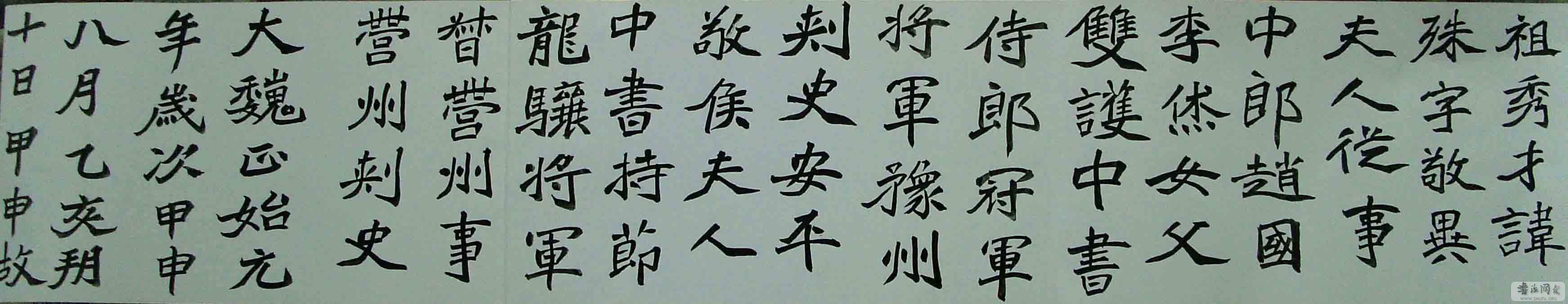 SNV10249.jpg