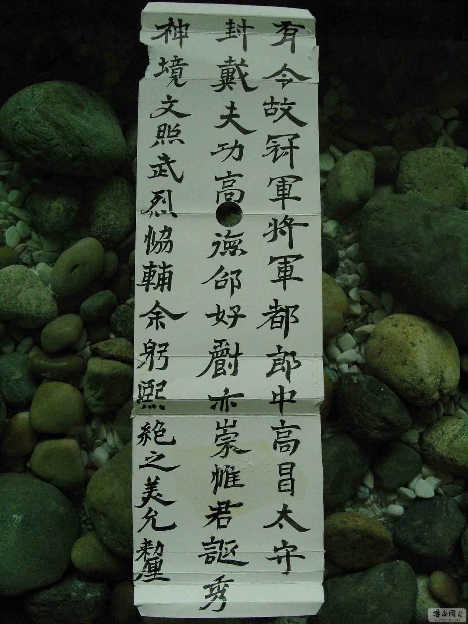 SNV10258.jpg