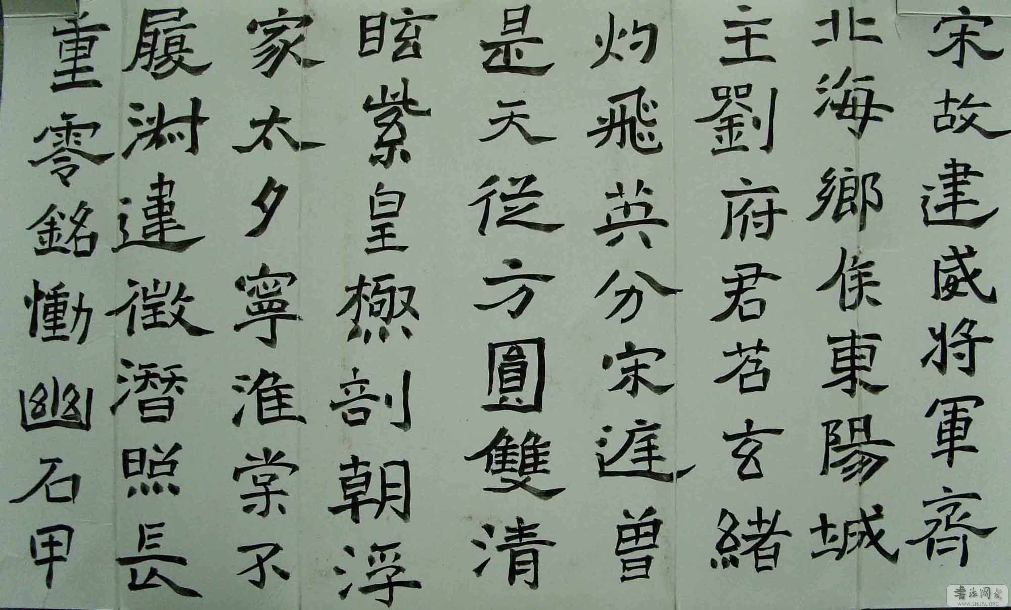 SNV10259.jpg