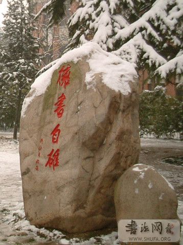3164341688181355446.jpg