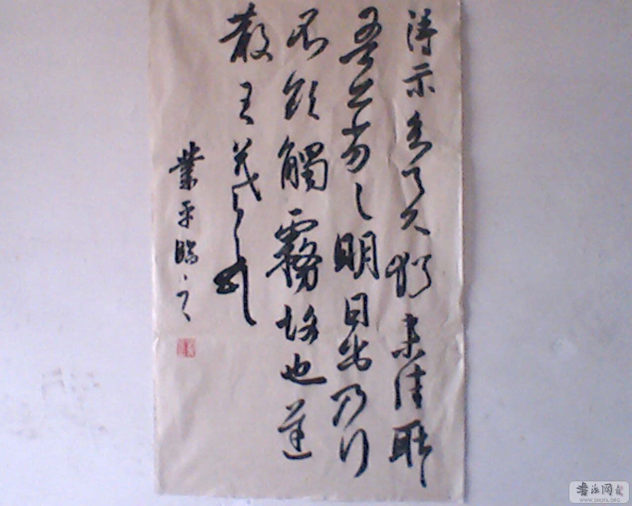 IMG0223A.jpg