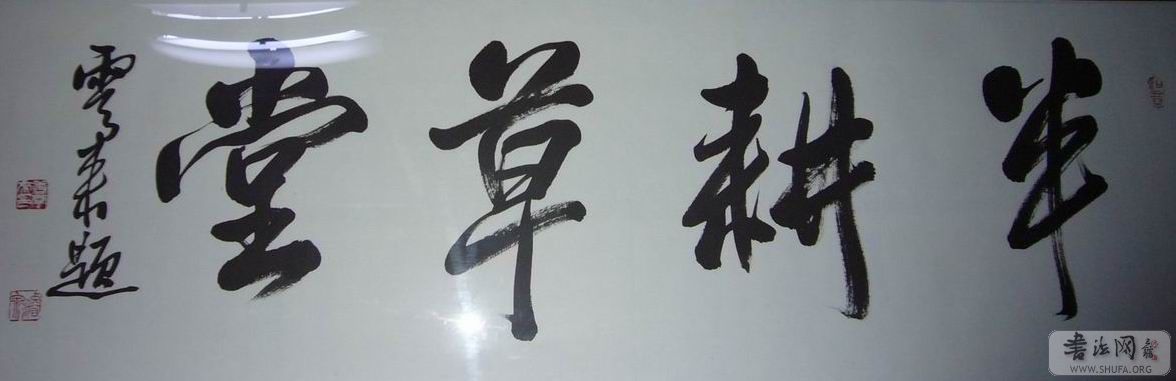 P1000542.JPG