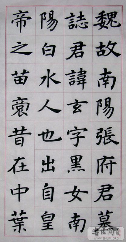 RŮ01-0.jpg