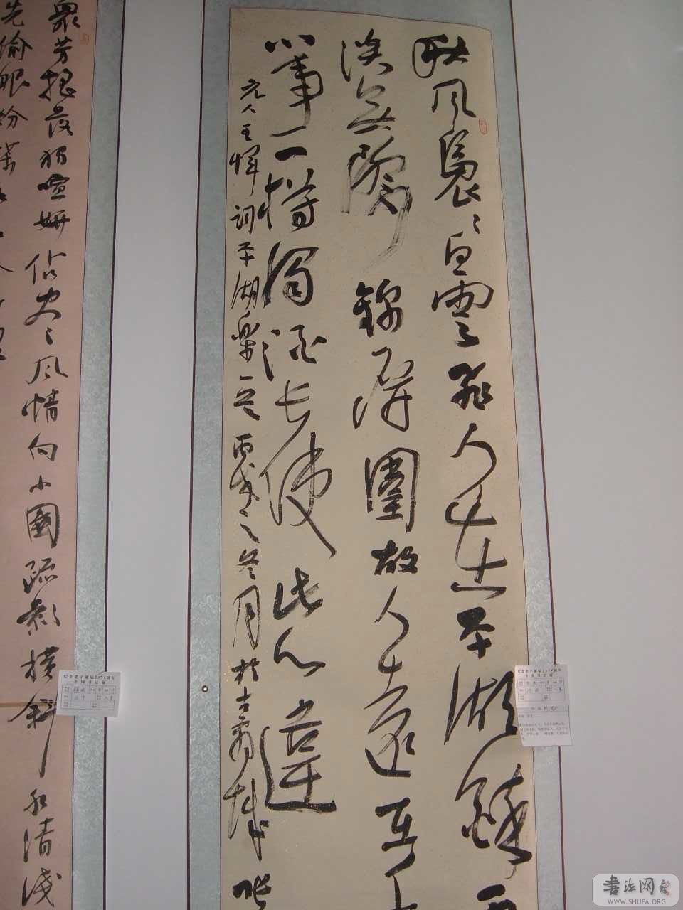 DSCF5776.jpg