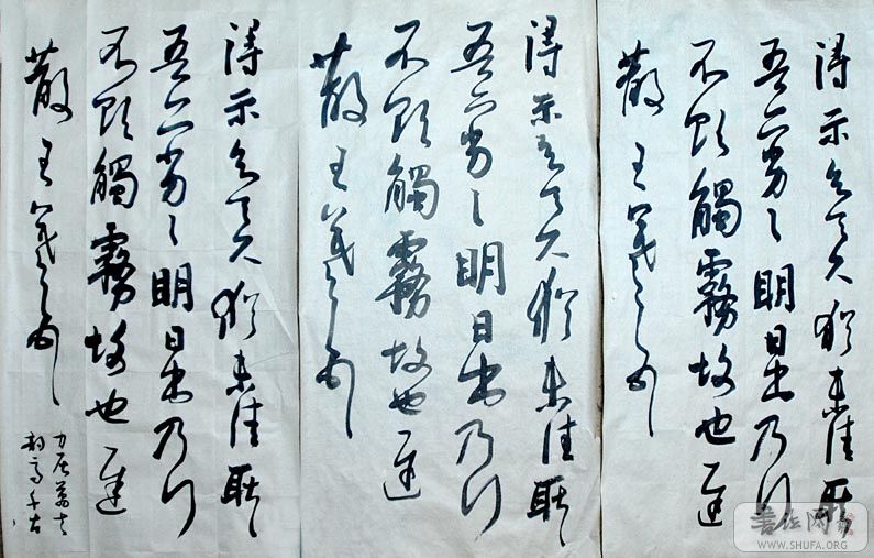 ٵʾݸ.jpg