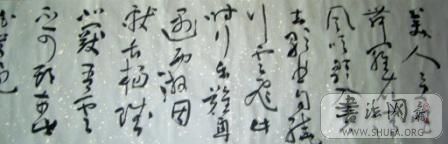 S6000862.JPG