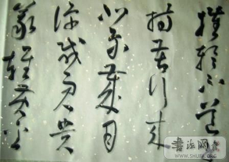 S6000869.JPG
