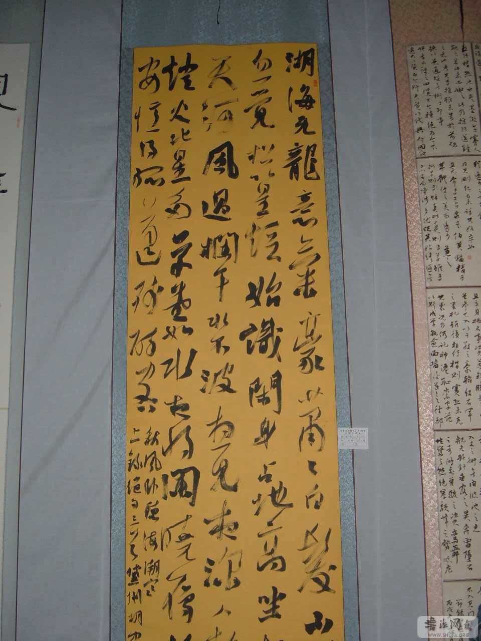 DSCF5772.jpg
